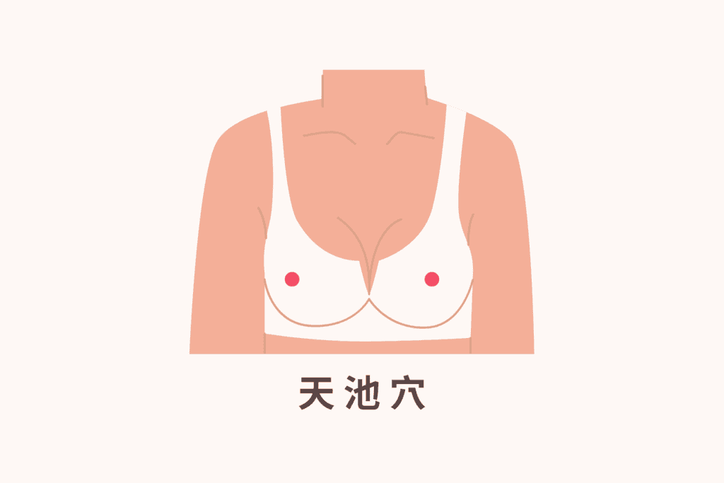 胸部按摩手法, 胸部按摩, 美胸按摩, 胸部按摩有效嗎