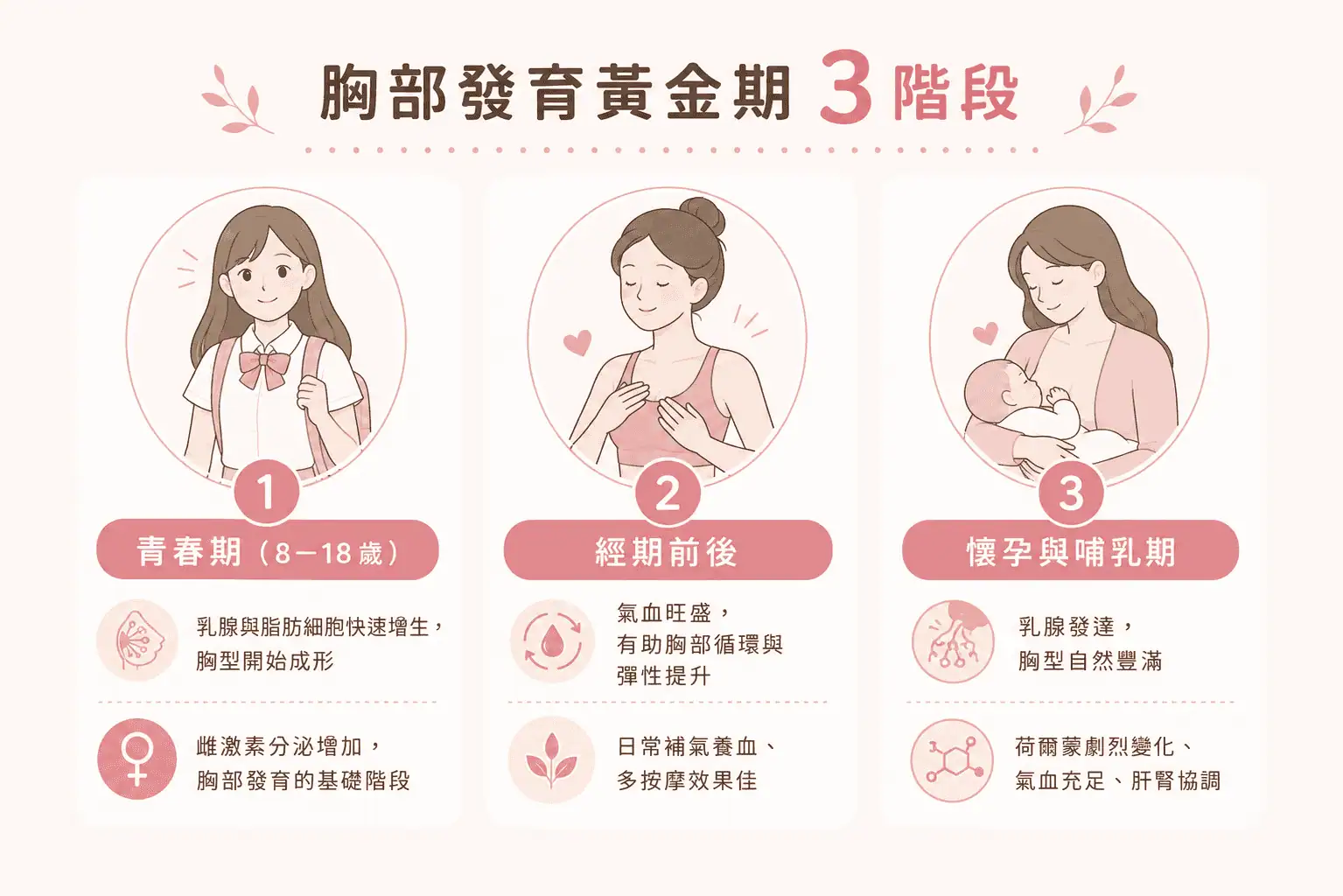 胸部發育黃金期, 胸部發育到幾歲, 胸部發育幾育, 胸部二次發育